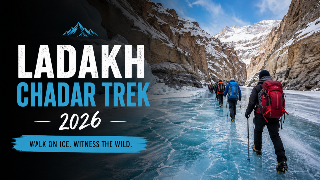 Ladakh Chadar Trek 2026- Frozen River Trek Best Price | Go2Ladakh