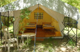tents-at-lharimo-retreat-gyamtsa-ladakh-1