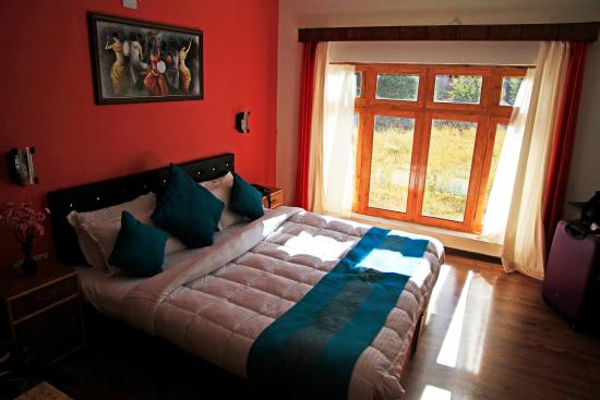 hotel-nalanda-ladakh (1)