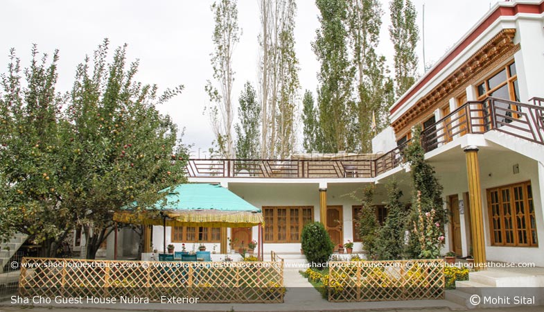 sha-cho-guest-house-ladakh