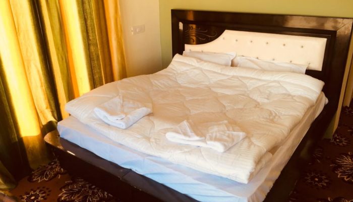 Hotel-in-Tsomoriri-Grand-Dolphin19-700x400