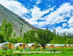 shangri-la-camp-nubra-ladakh
