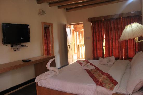 the-auspicious-hotel-leh-room-view-29022180g