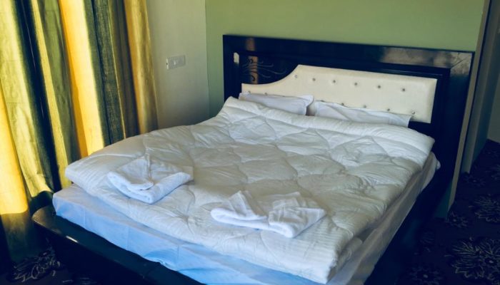 Hotel-in-Tsomoriri-Grand-Dolphin20-700x400