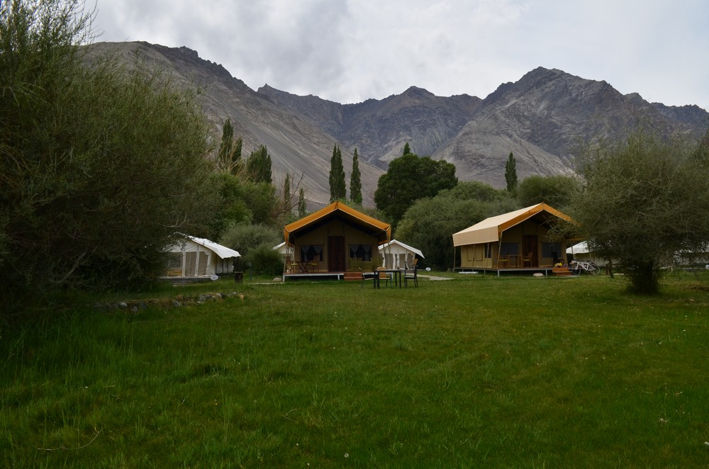 desert-himalaya-resort-48