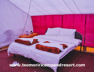 tsomoriri-camp-double-beded-tent
